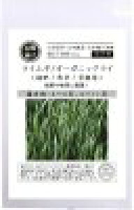  O[tB[hvWFNg CM / I[KjbNCΔ/q/iϗp@