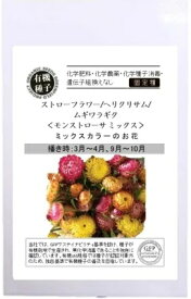 たね グリーンフィールドプロジェクト ストローフラワー ヘリクリサム ムギワラギク モンストローサ ミックス　小袋