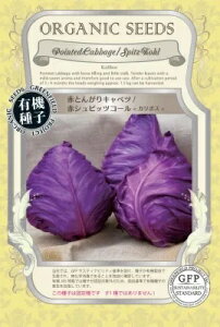  O[tB[hvWFNg ԂƂ񂪂Lxc ԃVsbcR[ J{X@