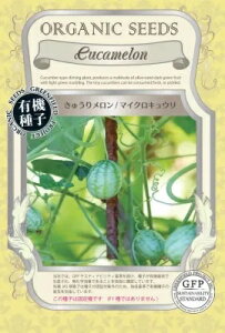  O[tB[hvWFNg イ胁 }CNLE 