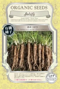  O[tB[hvWFNg mS{E p[vTVt@C ICX^[vg oW@