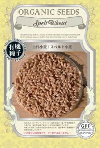  O[tB[hvWFNg Ñ㏬/Xyg @