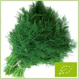 たね グリーンフィールドプロジェクト ディル(晩抽性)　小袋