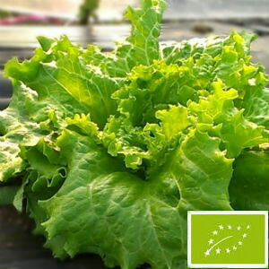  O[tB[hvWFNg o^rA^X()@