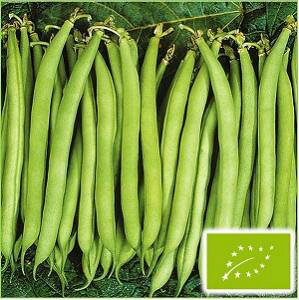  O[tB[hvWFNg邠CQ(ۂ^Cv/)@