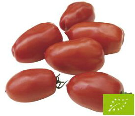 たね グリーンフィールドプロジェクト トマト イタリアントマト/サンマルツァーノ　小袋