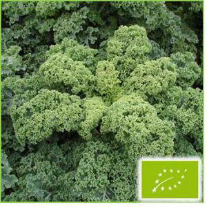  O[tB[hvWFNg P[(Ηt)@