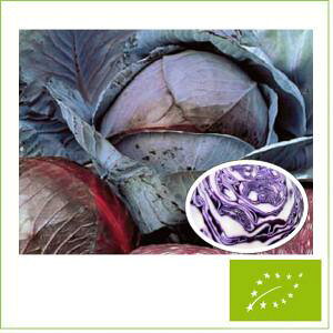  O[tB[hvWFNg ԃLxc Cp[v@