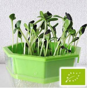  O[tB[hvWFNg XvEg Ђ܂@