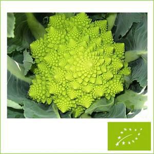  O[tB[hvWFNg }lXR(xjJ)@