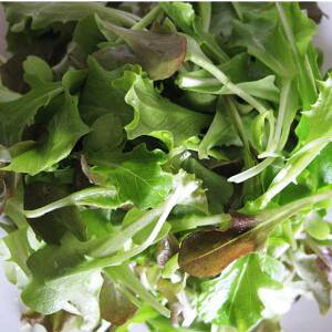  O[tB[hvWFNg Ng/4̃^X(xr[[t)@