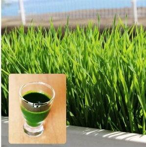  O[tB[hvWFNg EB[gOX/(X[W[W[Xp)@