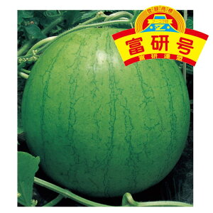 _@Z XCJ @ʁ@x Ł@200