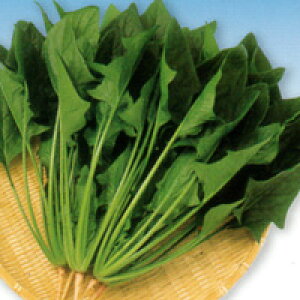 iJn̂ˁ@zE\E @@ ق񂻂@ǂ낤܁@1dl