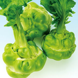 iJn̂  MB(ʃ^Ji)@R[g