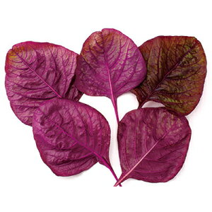 iJn̂ xr[[t@bhA}TXiԁj1L