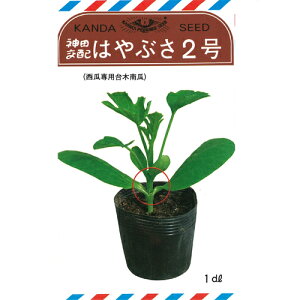 _c@ ؁@͂Ԃ񍆓Z@1dl