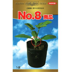 _c@ ؁@No.8Z@1dl