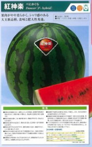 _c@XCJ  Z@g_y@