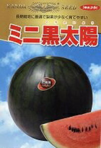_c@XCJ  Z@ʁ@~jz@100
