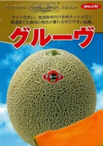 _c@@O[@