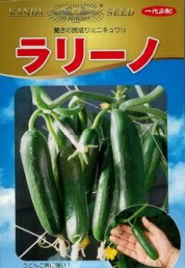 _c@LE イ ӉZ@[m@