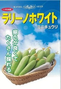 _c@LE イ ӉZ@[mzCg@1000