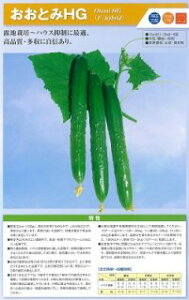 _c@LE イ ӉZ@ƂHG@20ml