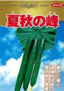 _c@LE イ ӉZ@ďH̕@20ml