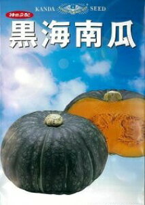 _c@J{` ڂ Z@CZ@100