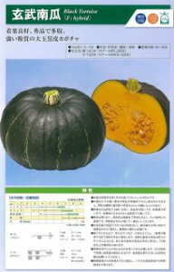 _c@J{` ڂ Z@Z@100