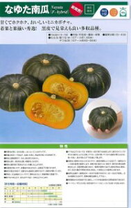 _c@J{` ڂ Z@Ȃ䂽Z@