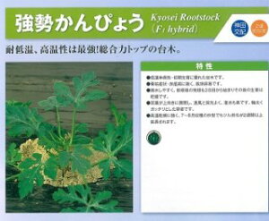 _c@ږ ҂傤@҂傤@2dl