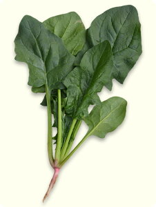  юc zE\E ق񂻂 @@@CiY}11@M3