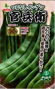  юc CQ 񂰂 Ȃ@q@1L