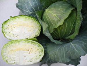  юc Lxc ׂ@YRCM@2000