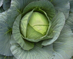  юc@Lxc × ׂ@YRM@