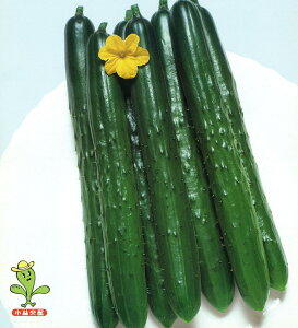  юc LE イ ӉZ@sJsJ@
