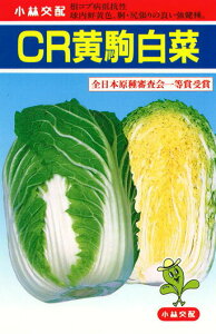 юc nNTC ͂ ؁@CR@