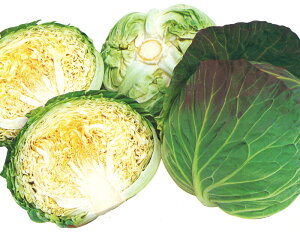  юc Lxc ׂ@ϊtG[X@20ml