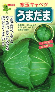  юc Lxc ׂ@܂܁@2000