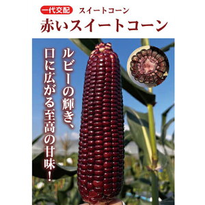 たね 小林種苗 トウモロコシ とうもろこし 赤いスイートコーン 200粒