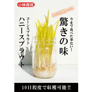  юc XvEg@nj[XvEg@1dl