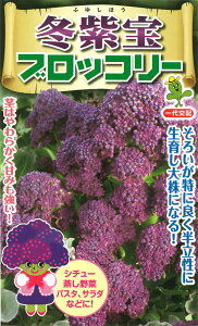  юc ubR[ ~(ӂ䂵ق)ubR[ 1000