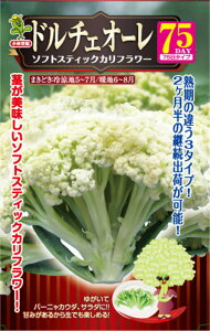  юc Jt[ h`FI[75 10ml