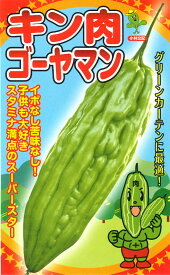 たね 小林種苗 キン肉ゴーヤマン　ニガウリ 小袋