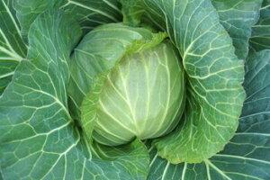  юc Lxc ׂ@قق݁@