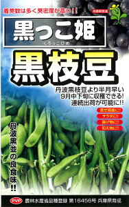 たね 小林種苗 エダマメ 枝豆 えだまめ 黒っこ姫 小袋 PVP