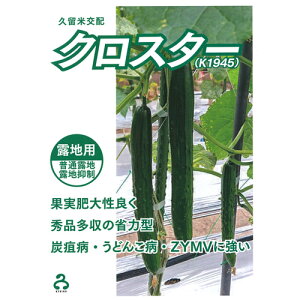 vc@LE ӉZ イ@NX^[@100