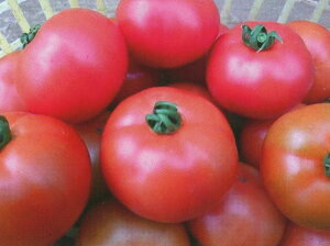  vĎc|@g}g Ƃ܂Ɓ@Gy[ @